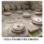 L’antiquarium di boscoreale