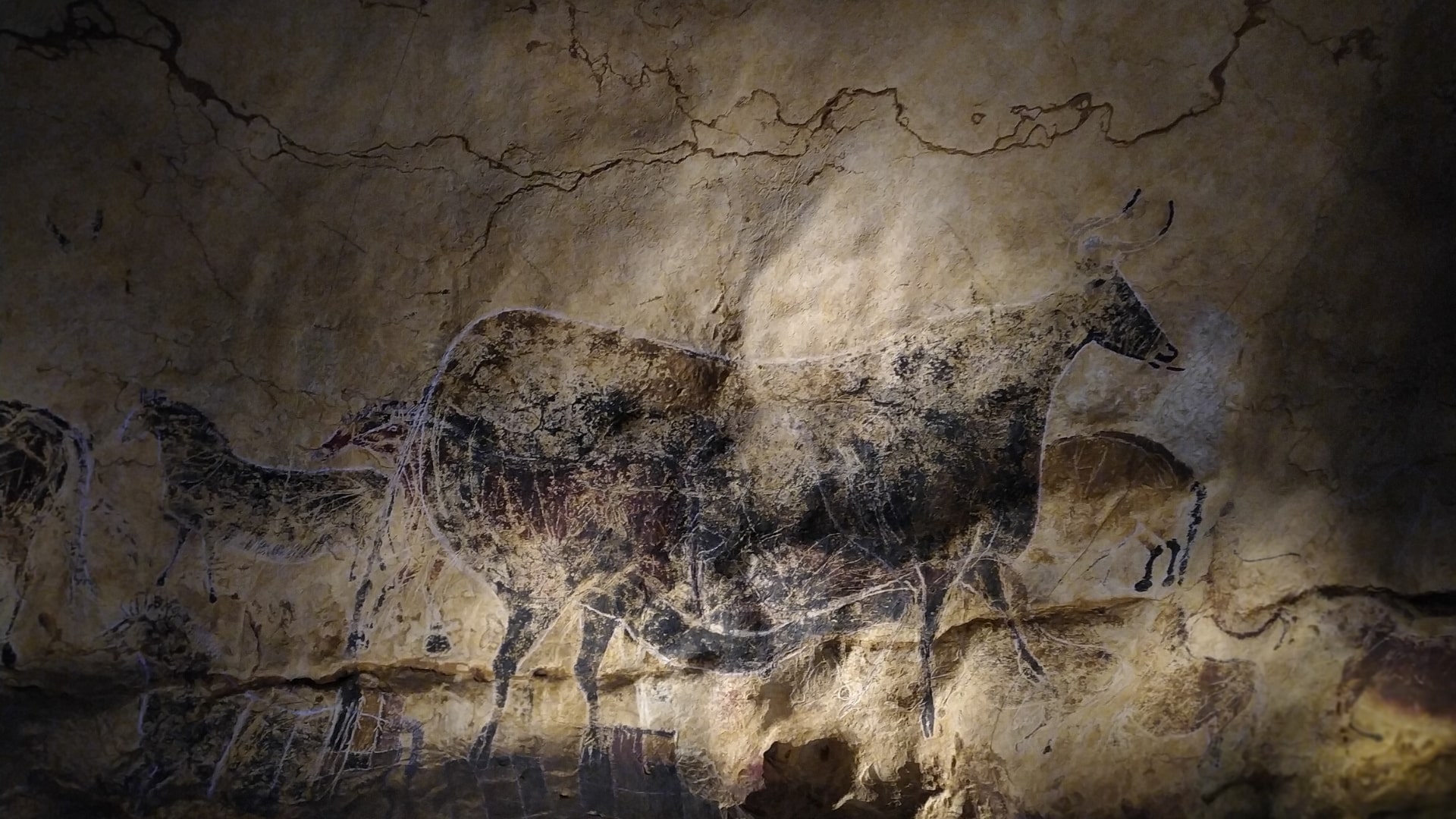 Lascaux. La cappella Sistina del Paleolitico